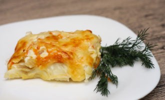 морской язык