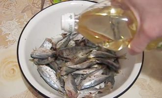 ставрида