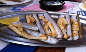 Моллюск морской черенок
