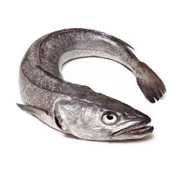 рыба 