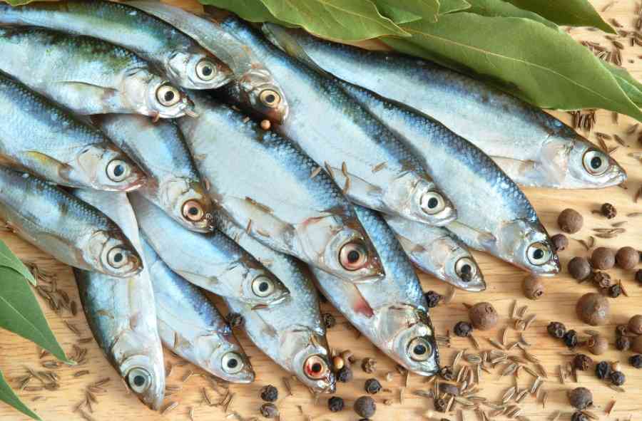 рыба