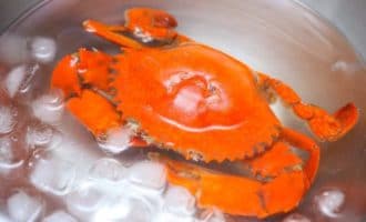 краб со льдом