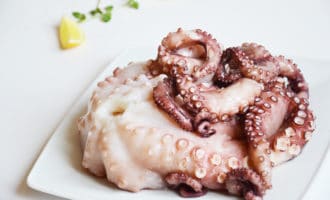 оьминог на блюде