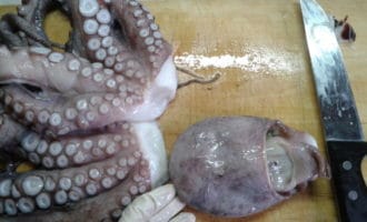 кусочки осьминога