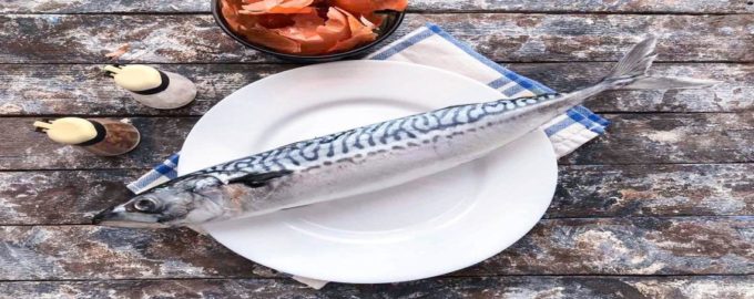 скумбрия целая