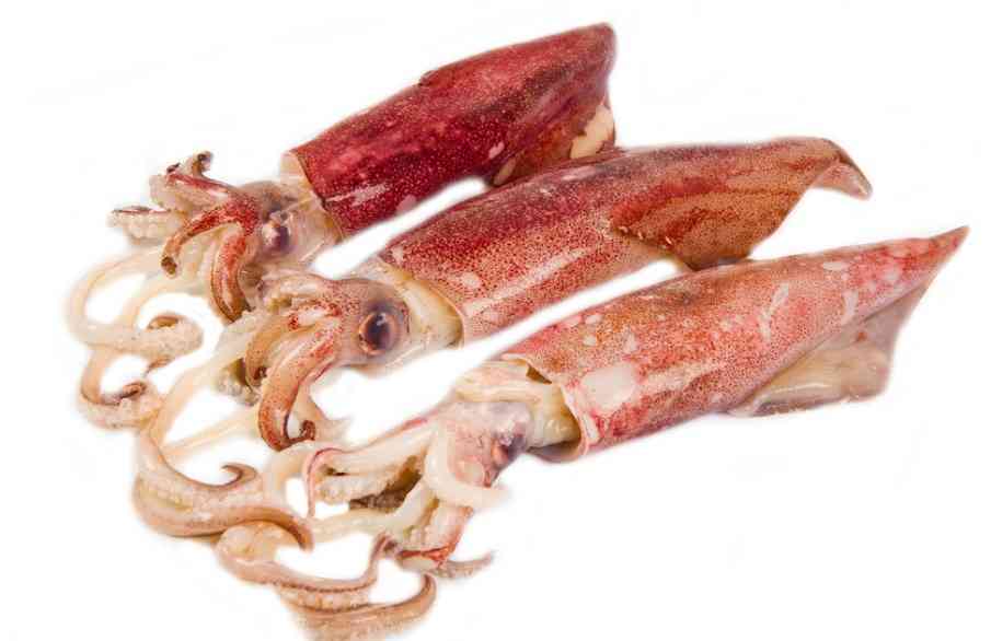кальмары